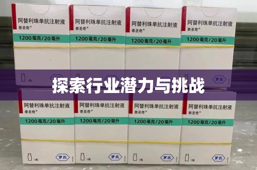 淄博探索行业潜力与挑战