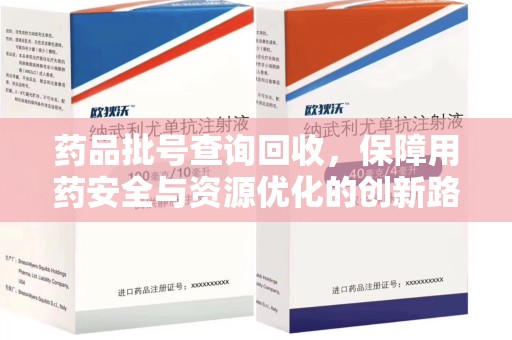 淄博药品批号查询回收，保障用药安全与资源优化的创新路径