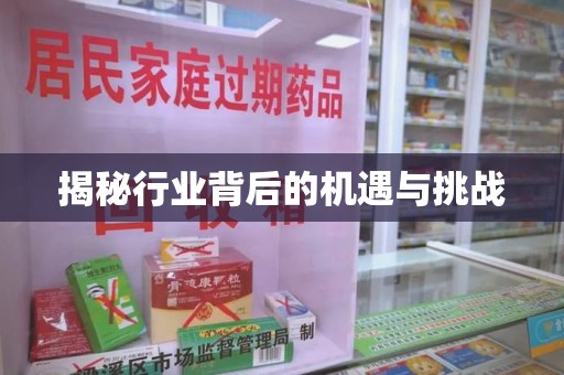 淄博揭秘行业背后的机遇与挑战