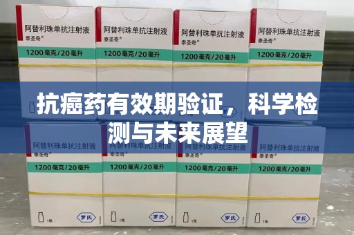 淄博抗癌药有效期验证，科学检测与未来展望