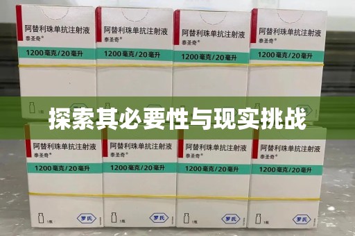 淄博探索其必要性与现实挑战