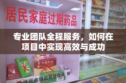 淄博专业团队全程服务，如何在项目中实现高效与成功