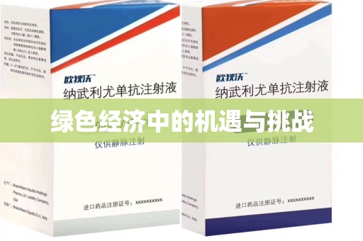 淄博绿色经济中的机遇与挑战