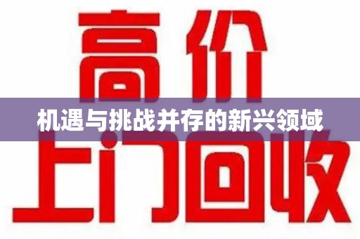 淄博机遇与挑战并存的新兴领域