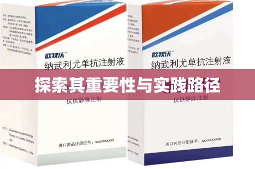 淄博探索其重要性与实践路径