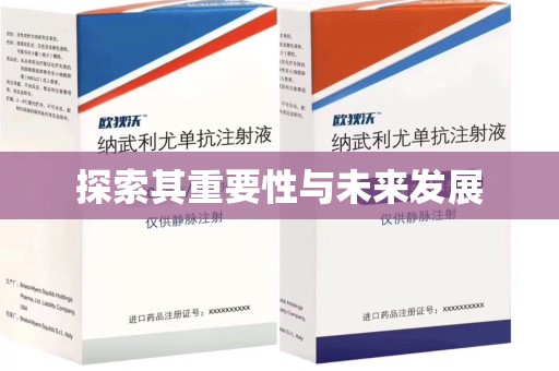淄博探索其重要性与未来发展