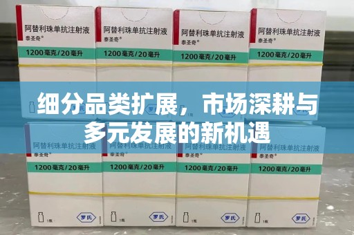 淄博细分品类扩展，市场深耕与多元发展的新机遇