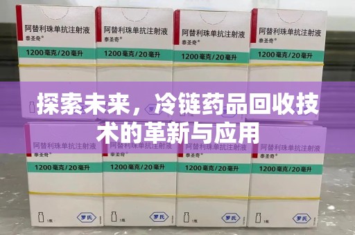 淄博探索未来，冷链药品回收技术的革新与应用