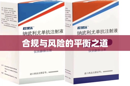 淄博合规与风险的平衡之道